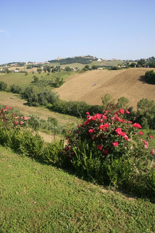 Agriturismo Fara Guest house Montegiorgio